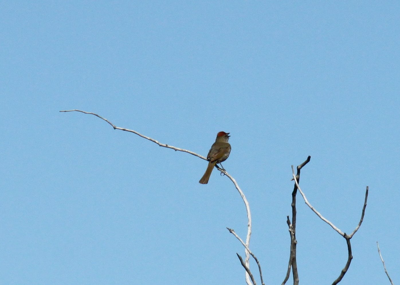 Grand Teton National Park (Part 2).