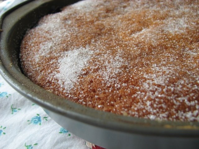 [cake1.JPG]