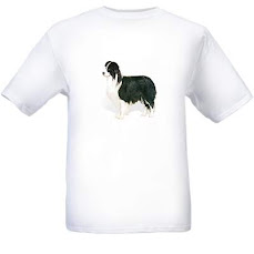 Ontwerp je eigen t-shirt bij vistaprint :)