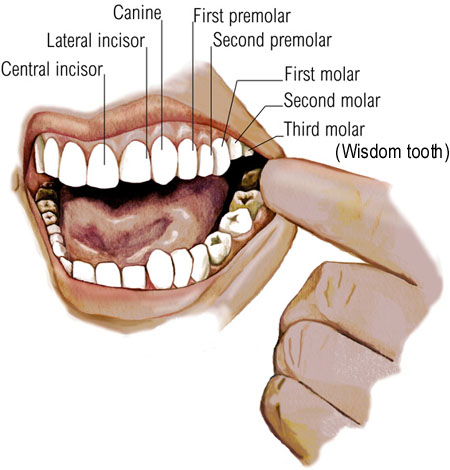 bernard hopkins teeth. Cure Tooth Decay Naturally By