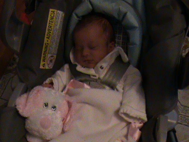 Car trips are more fun when you can pet a pink puppy blanket!