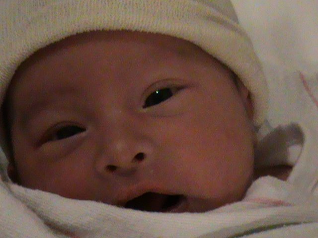 Lookout Gerber Baby, Here Comes Lauren!!