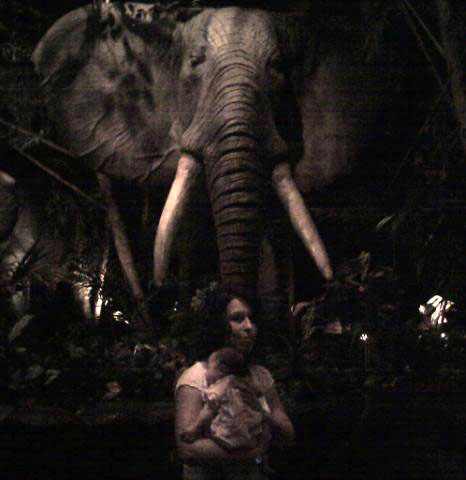 Lauren on Safari