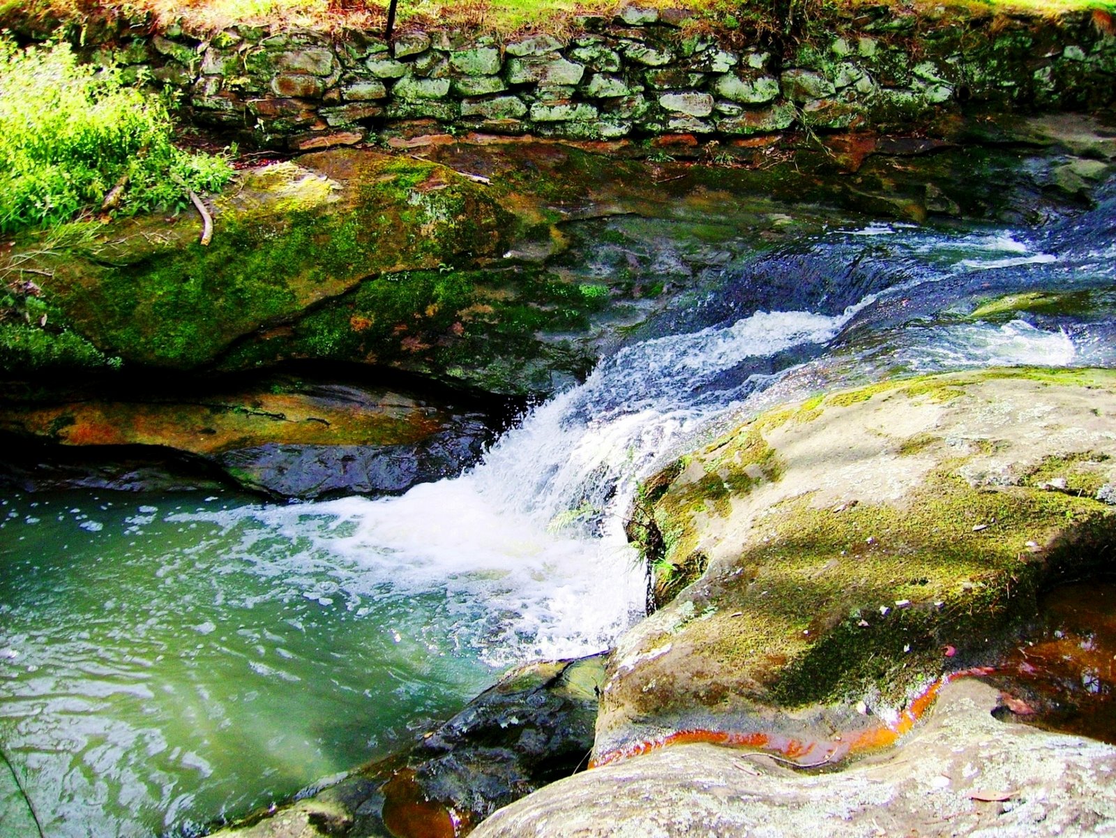 KJ Kaye and Jose Amazing Photos Pretty creek in Sydney, Australia