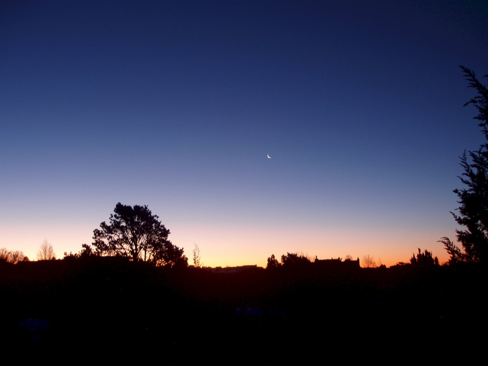 [crescent+moon+in+January.jpg]