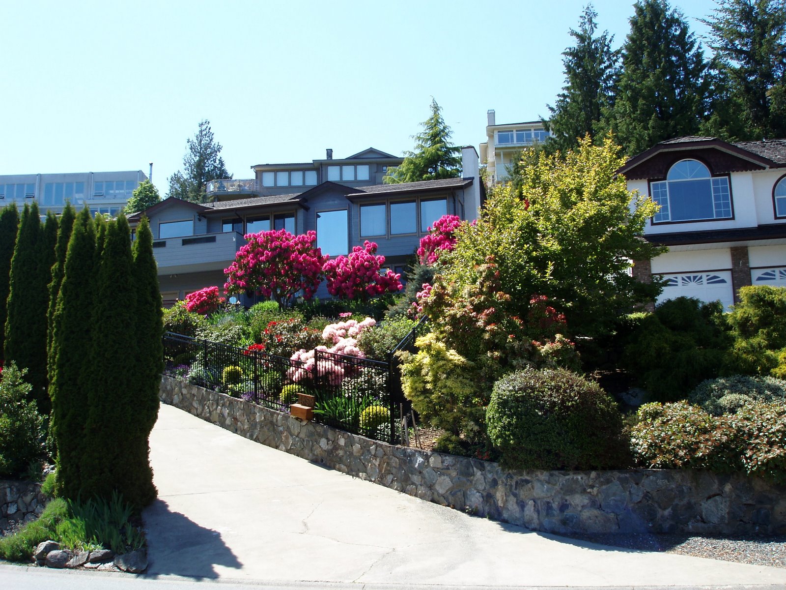 [Sidney+bike+ride+9.JPG]