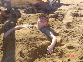 Hen buried in the sand - Bibione