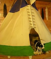 Krapahouette au pays des Indiens