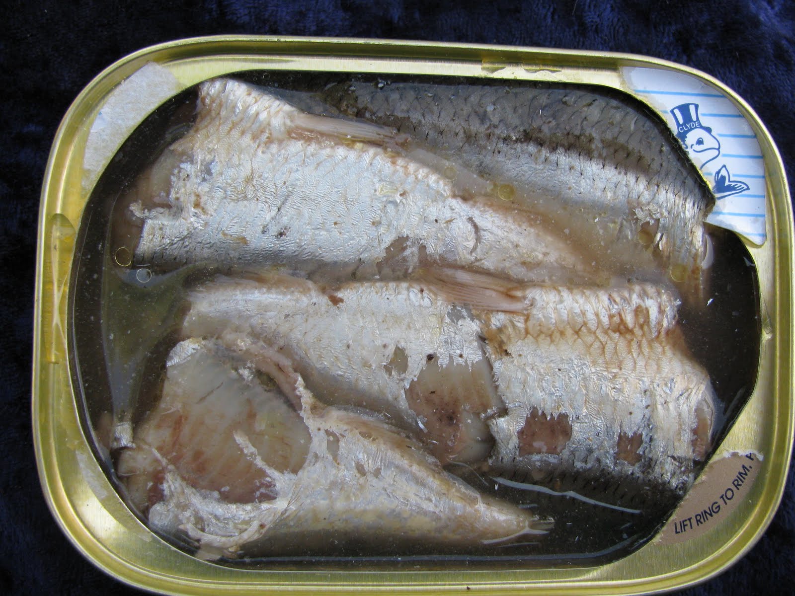 Mouth Full of Sardines Port ClydeSardines 3