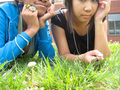 Are Ladybugs Poisonous