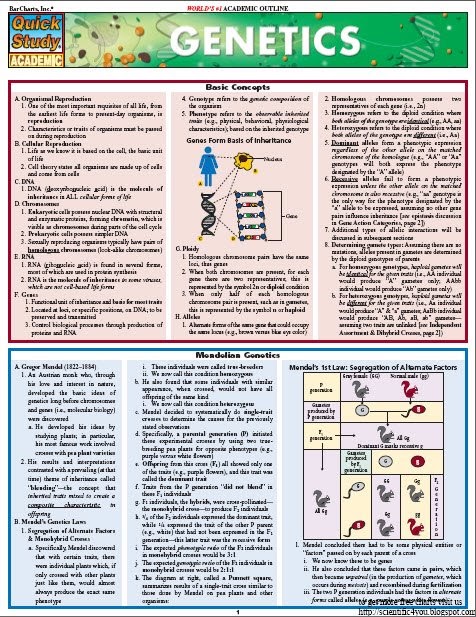 download Gespräche