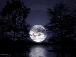 [lua]