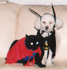 Merlin & Pop Pop as Batman & Superman