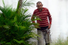 Guarujá-Mendigo defecando- Estão cagando para o Guarujá!!!