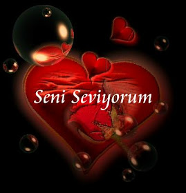 Duvarci Duvar Yazilari C Agustos 2009