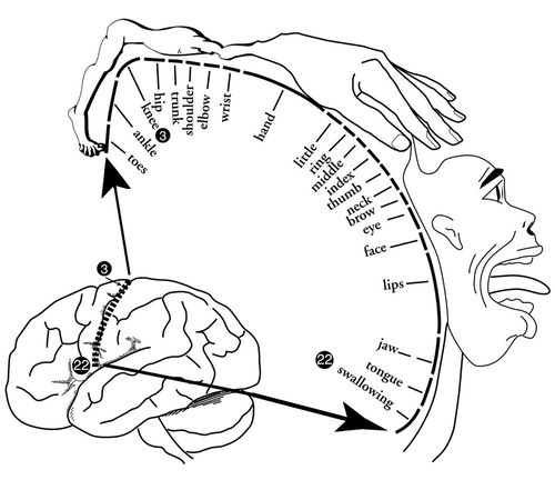 IMAGEN SENSORIALES CASTELLANO imagen sensoriales castellano: