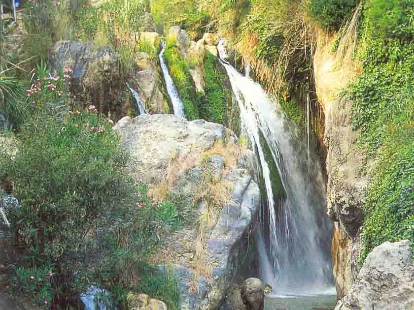 Página Abierta San Salvador Entre Ríos Sabías que...