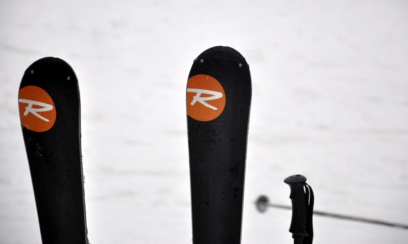 [DSC_4223.JPG]