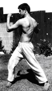 Bruce Lee The Legend The Power Of The Dragon Bruce Lee The Legend The Power Of The Dragon