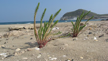 Almería tierra mágica