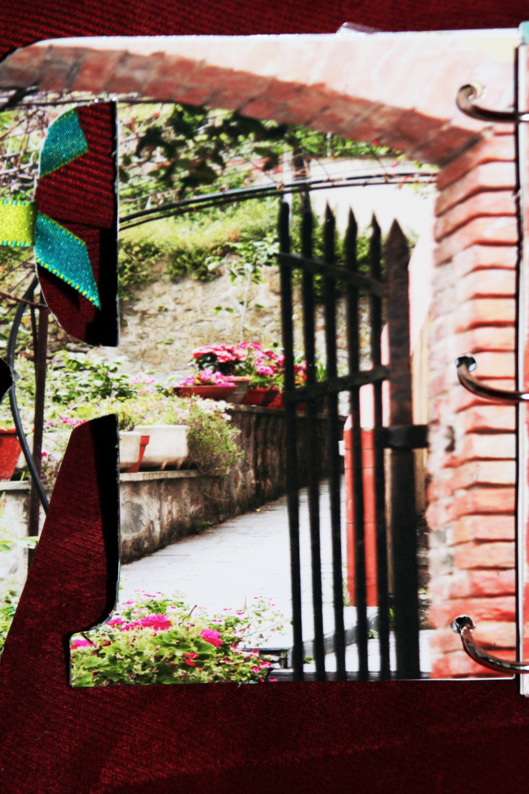 [2849web.gif]