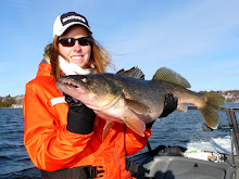 Walleye I caught in Picton, Ontario, Canada
