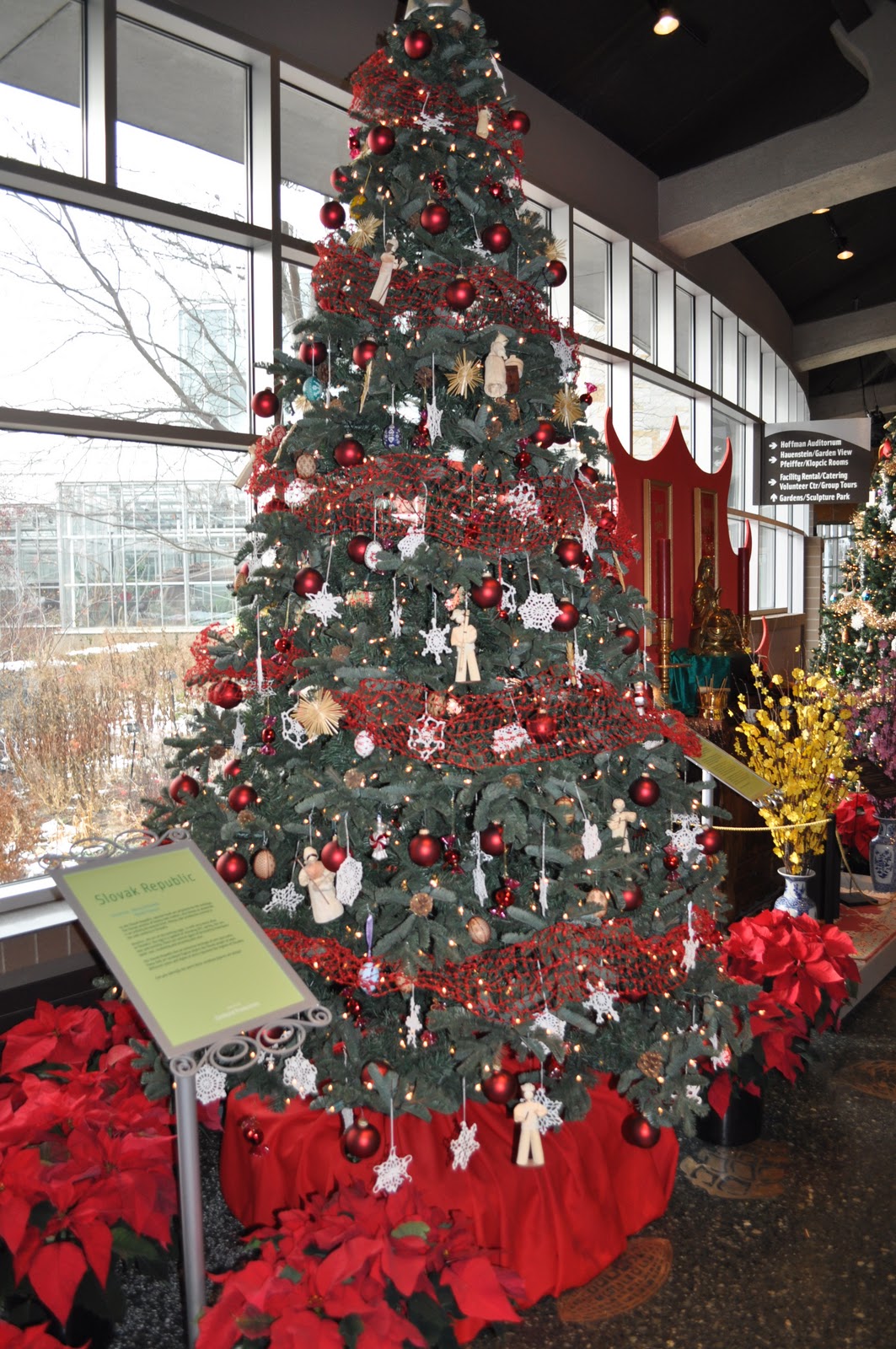 Meijer Christmas Trees 2021