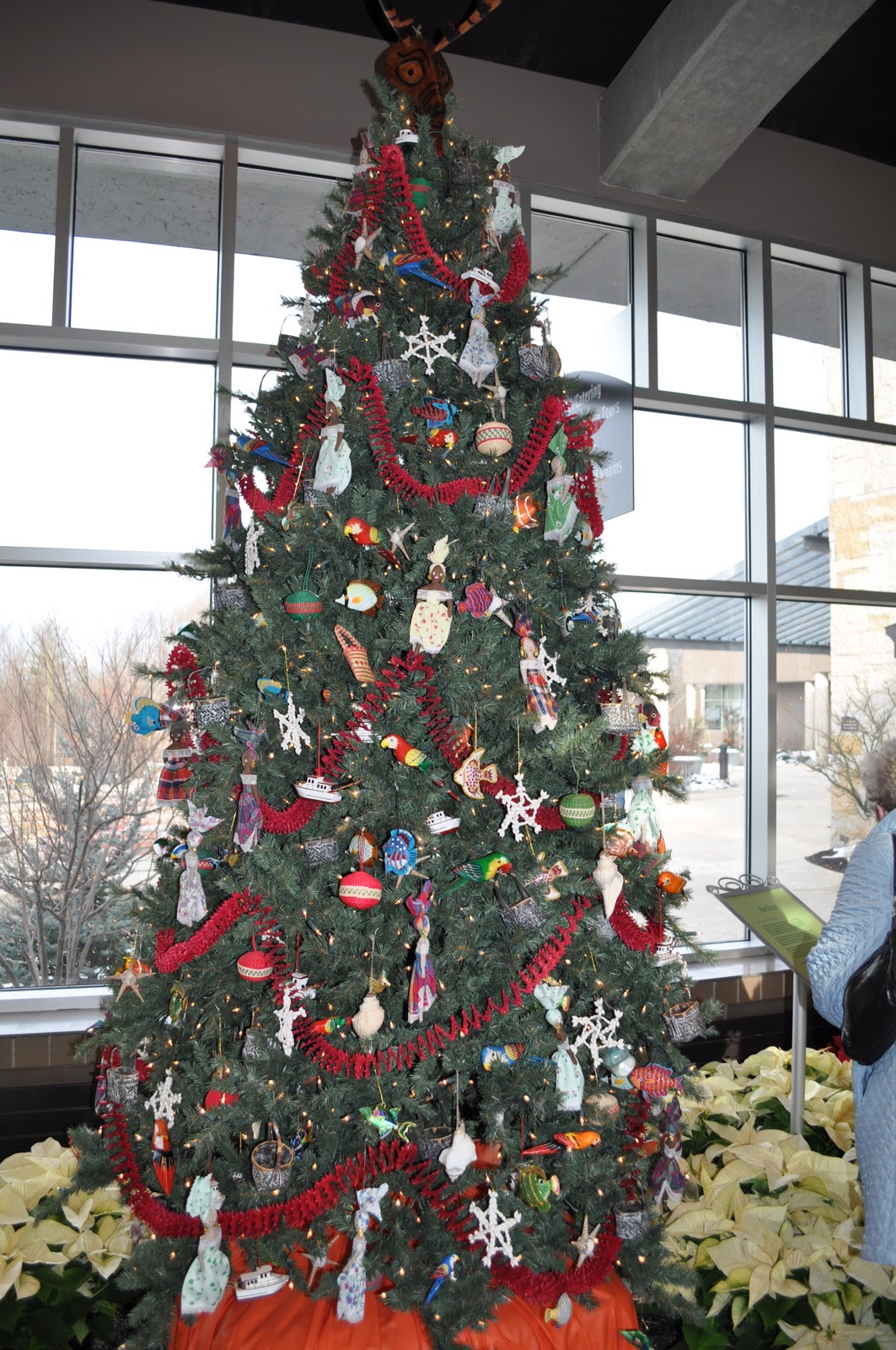 Michigan Cottage Cook: CHRISTMAS TREES FROM DENMARK AND BELIZE&ndash;ITALIAN