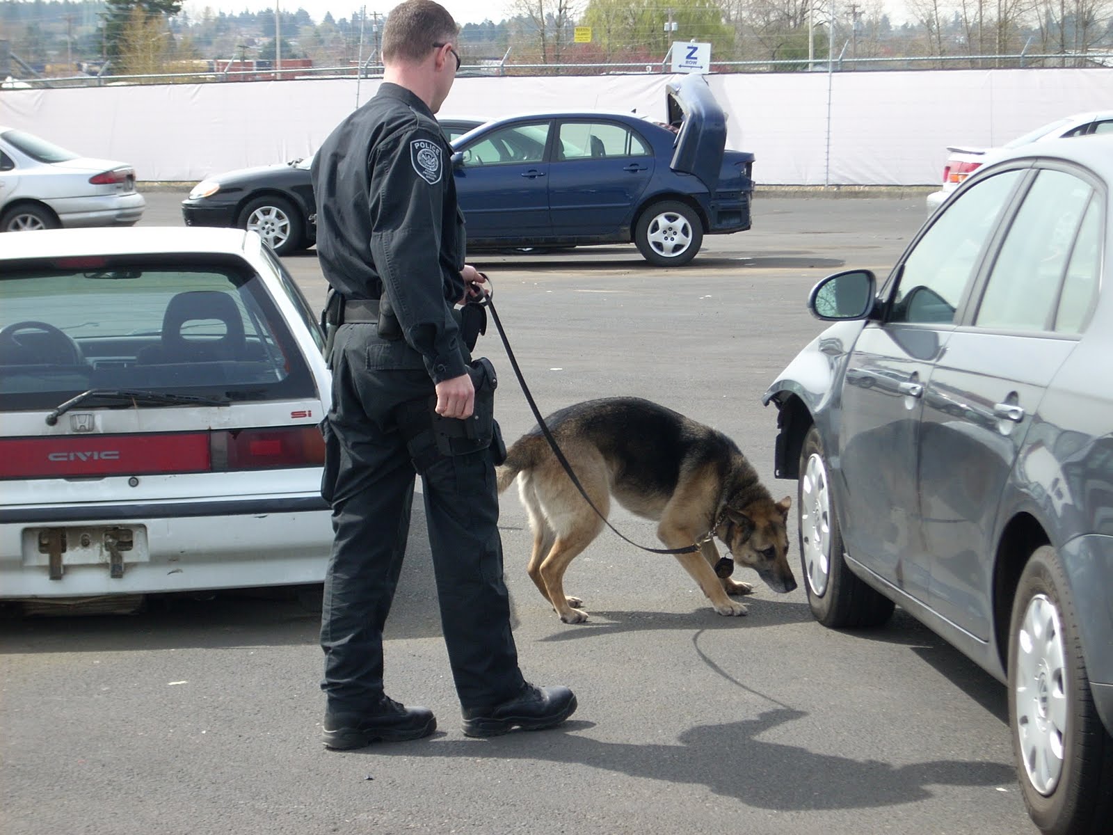 Sniffing Out Security FPS K9 Teams Homeland Security