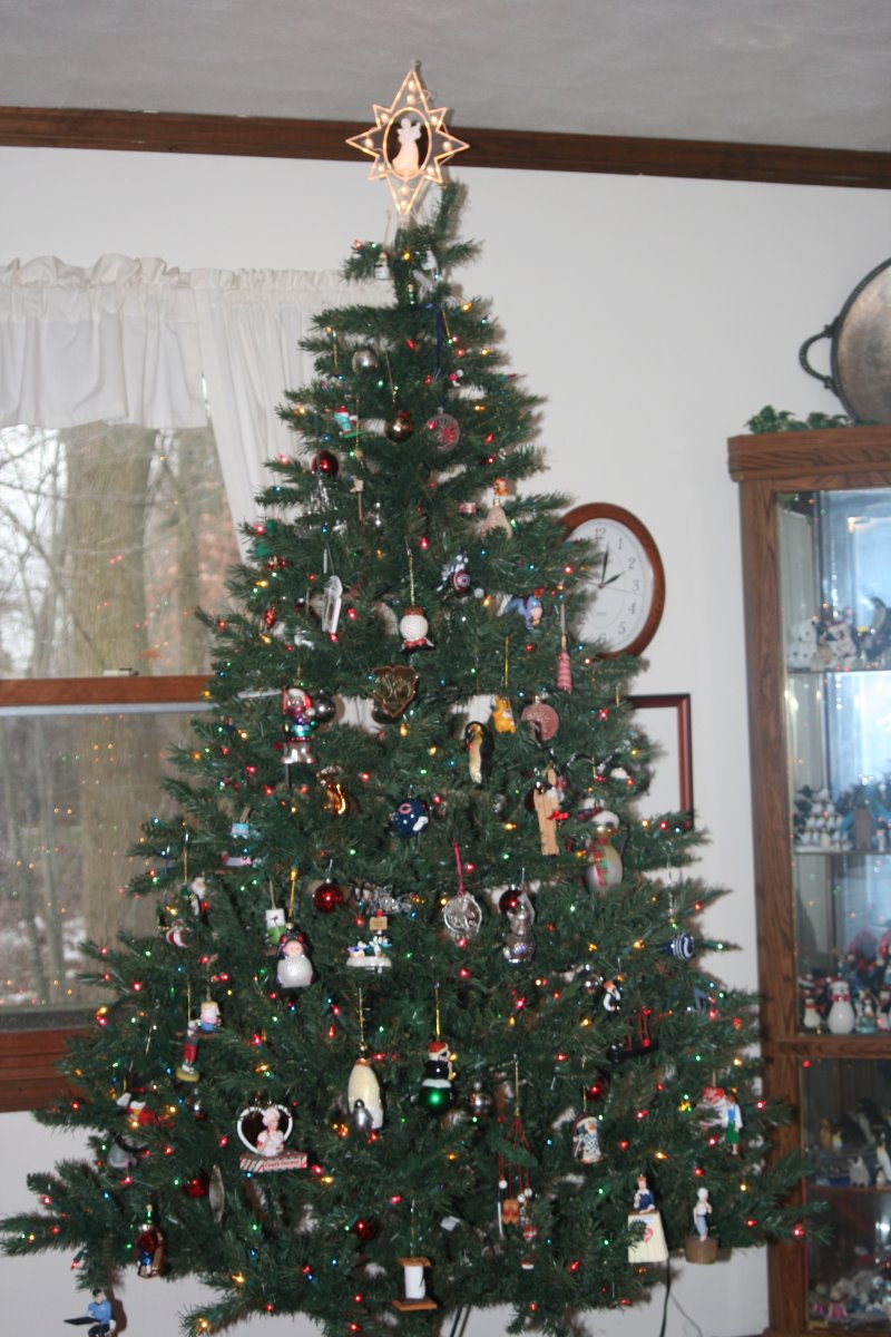 [Tree.JPG]