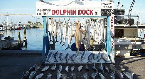 the guys at Dolphin Dock,