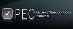 Escuelas seleccionadas en PEC 2011