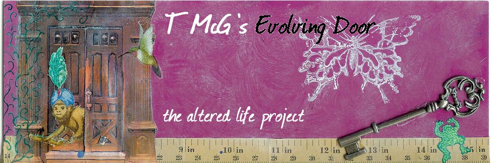 tmcg's evolving door- the altered life project