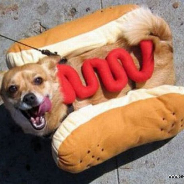 Αποκριάτικο hot dog!