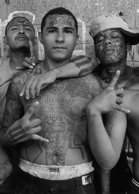 What are the rival gangs of MS-13?