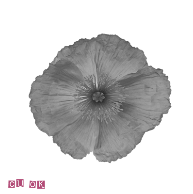 Digital CU greyscale flower Flower3template+copy
