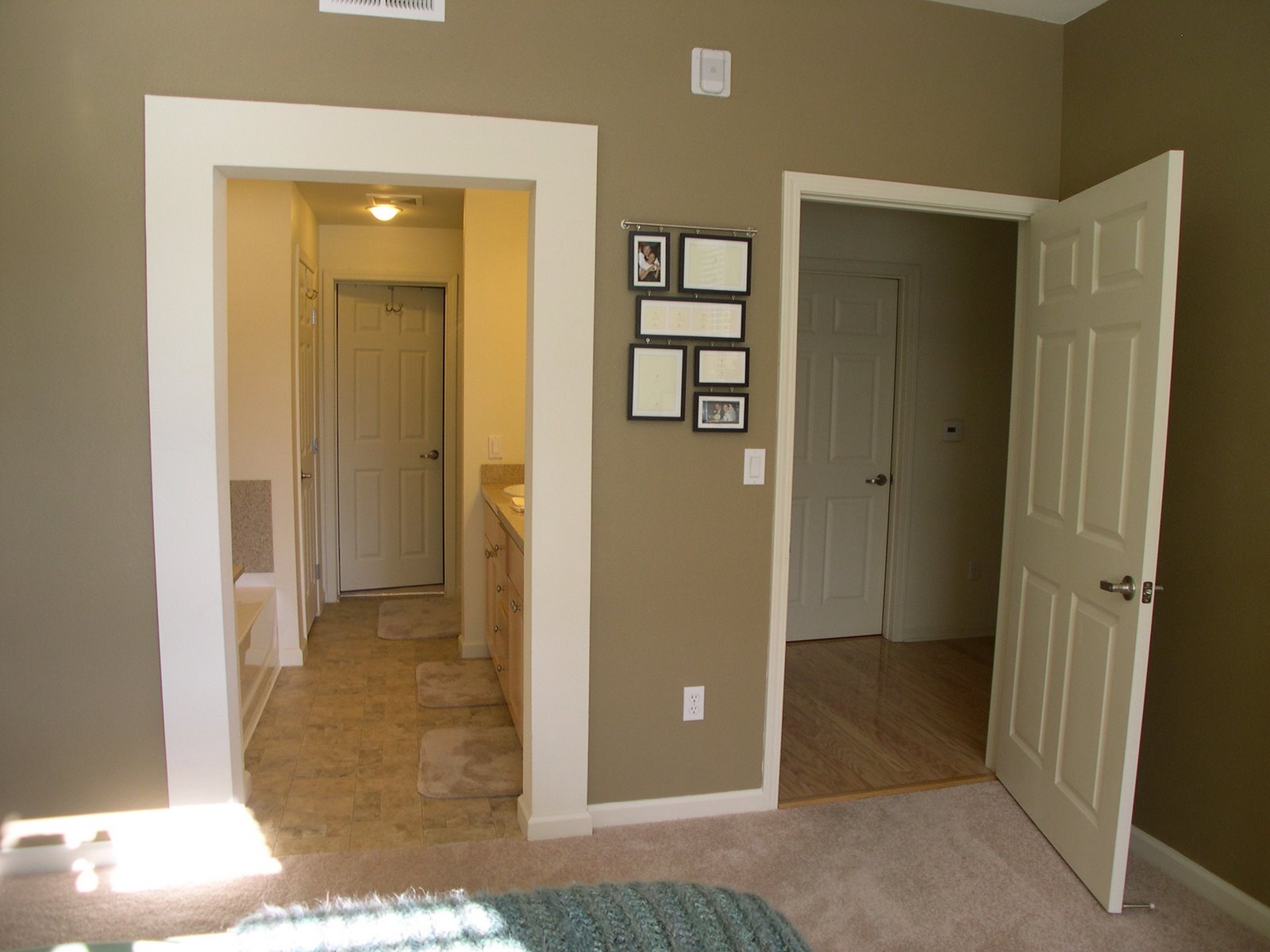 Suggest your Chocolate Brown Wall Paint Color. — thenest