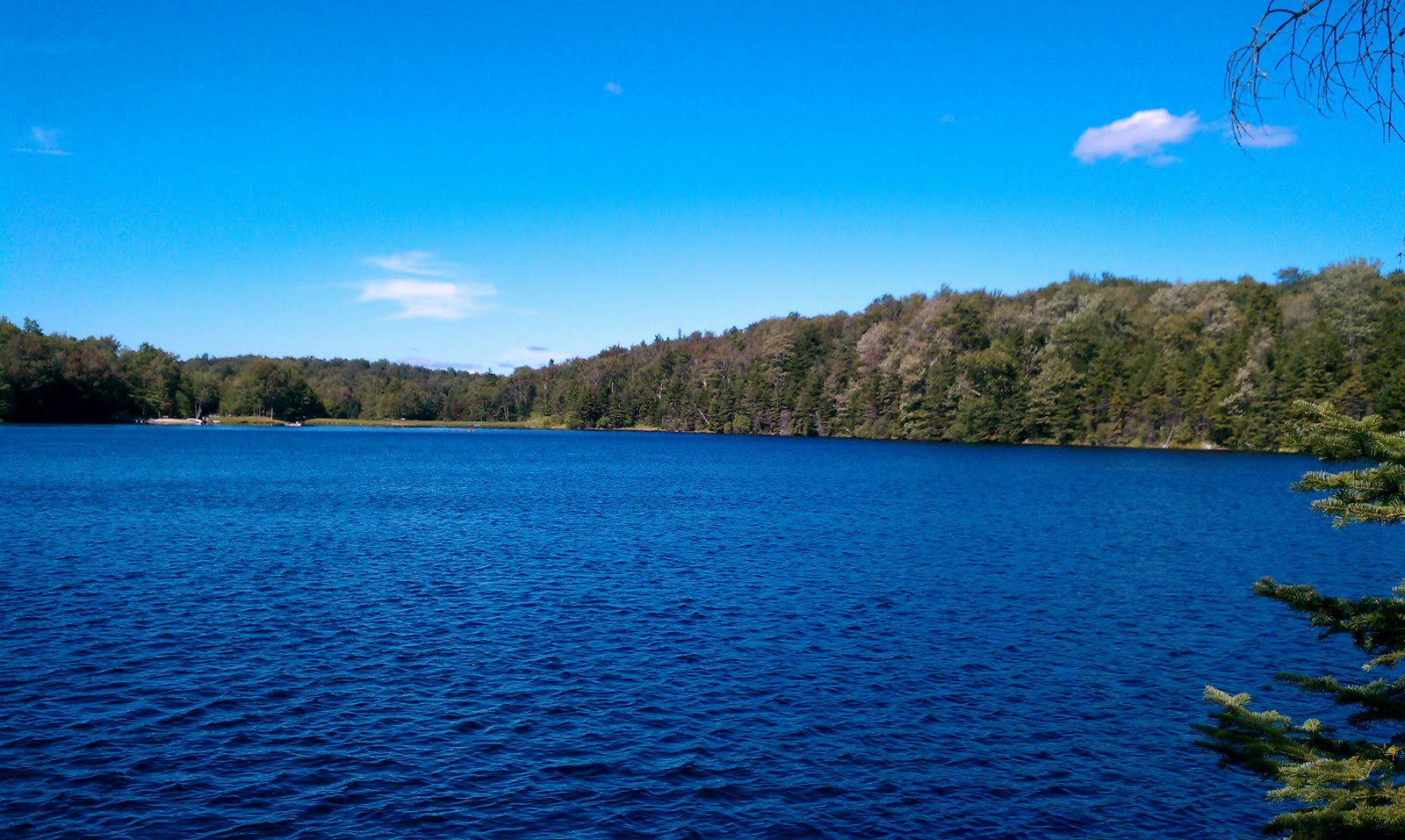 Adventures with the Scout VT Woodford State Park