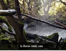 La lluvia como caía