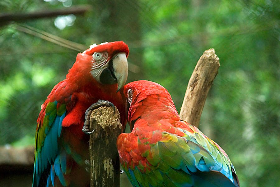 Hilgard and Jana Guira Oga, Puerto Iguazu