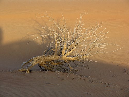 [2333634770_ce7d1d819d.jpg]