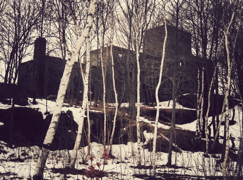 Q's Daydream I Found a Castle in the Woods