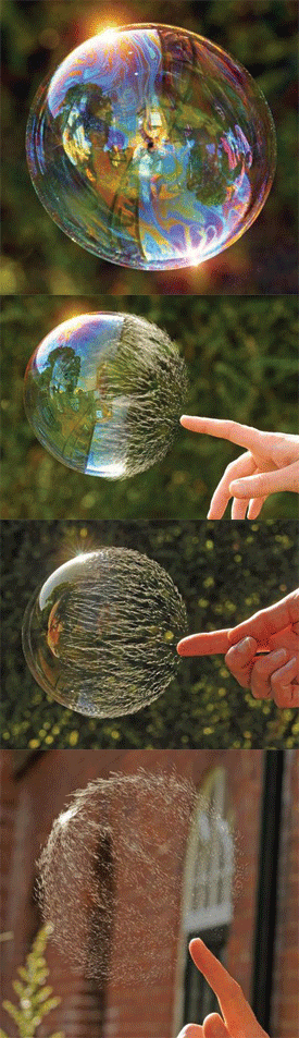 [bubbles.png]