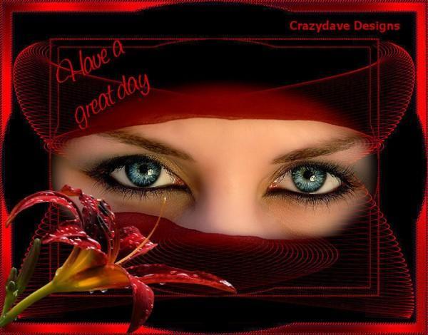 Tinta Ameerah November 2009