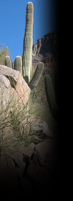 [environment_bg.jpg]