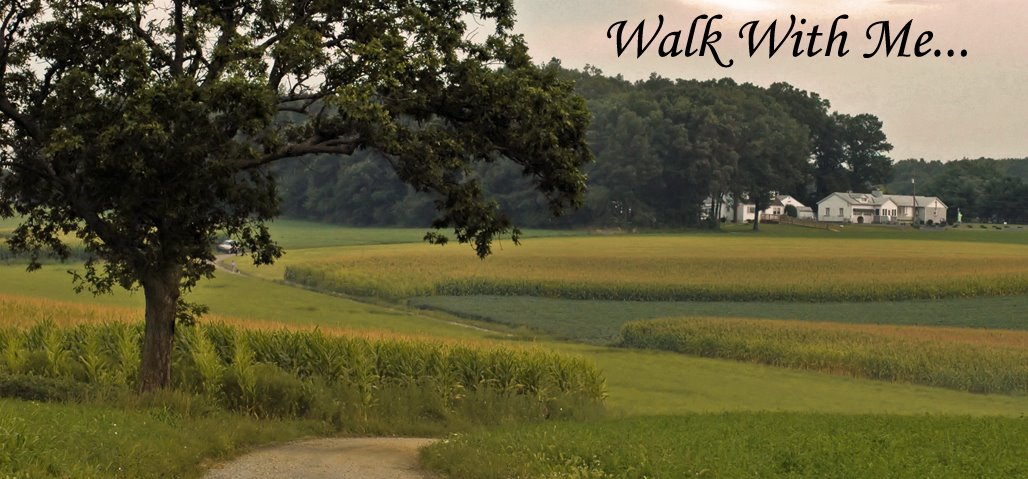 Walk With Me...