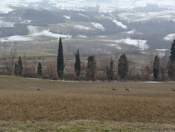 neve leggera e cerbiatti in corsa