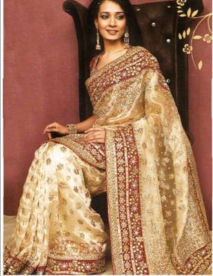 Beige Tissue Saree with Blouse  -  Newly Arrived!