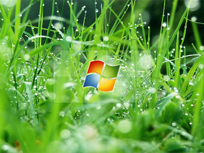 free nature wallpaper computer nature wallpaper for desktop. free nature wallpaper computer
