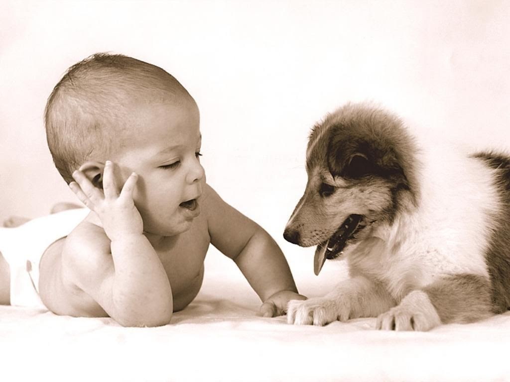 Cute+dog+pictures+for+kids